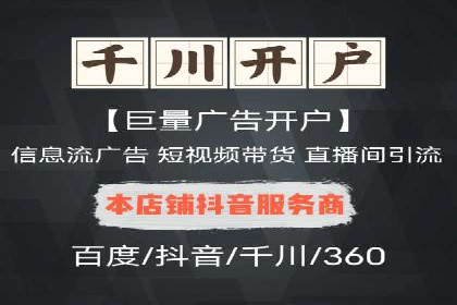 SEM服务公司助力品牌崛起案例